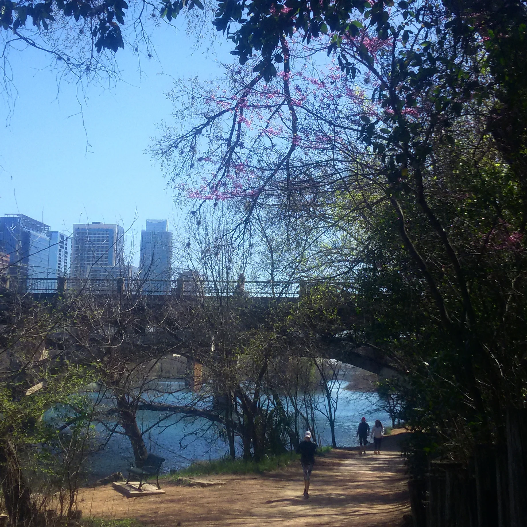 In the foreground is a fairly wide dirt path with a metal bench, one person running, and two people walking together. Beside the path is a river. The path is covered in trees, some green with leaves others with small purple/pink buds. In the background is a bridge and beyond that are skyscrapers in the Austin, TX skyline.