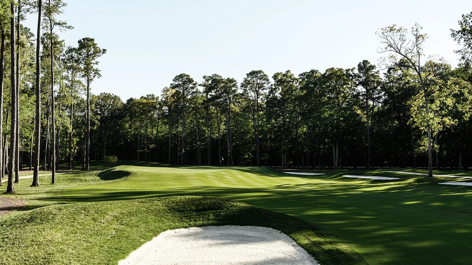 Hole_10_1141.jpg