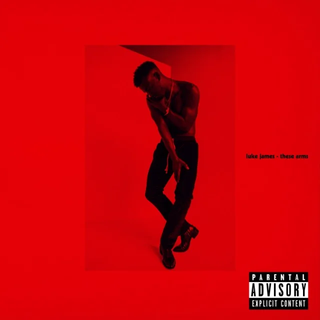 New Music 🔥Luke James - These Arms