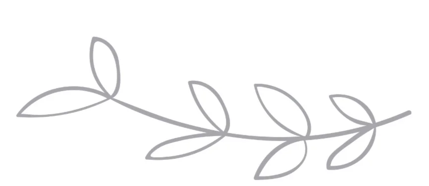 Home%2B2%252C%2BServices%2B2%2B%25281%2529.jpg