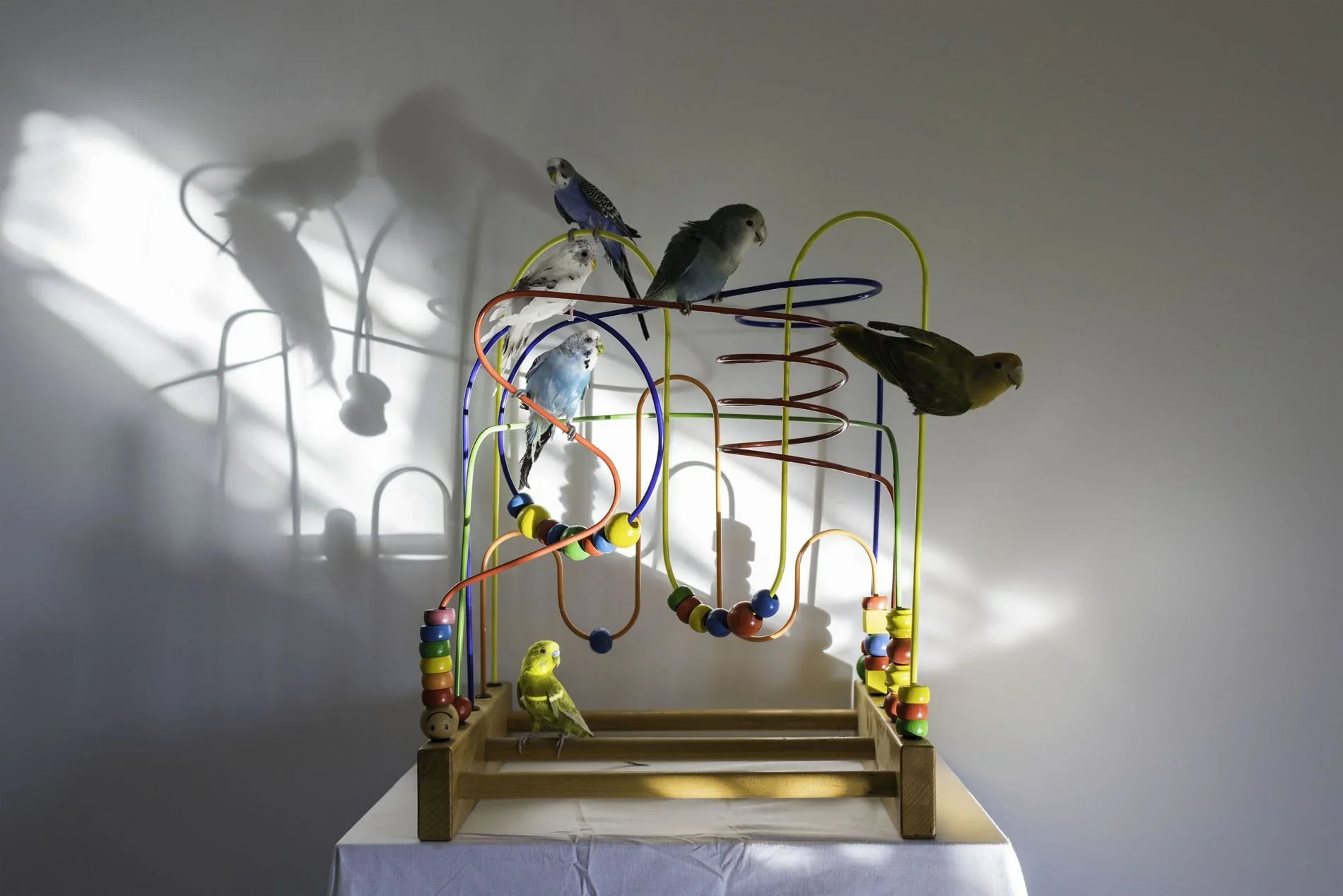 kiseki_1-web-lou-campos-artista-cordoba-galeria-arte-comprar-torrox-malaga+(4).webp