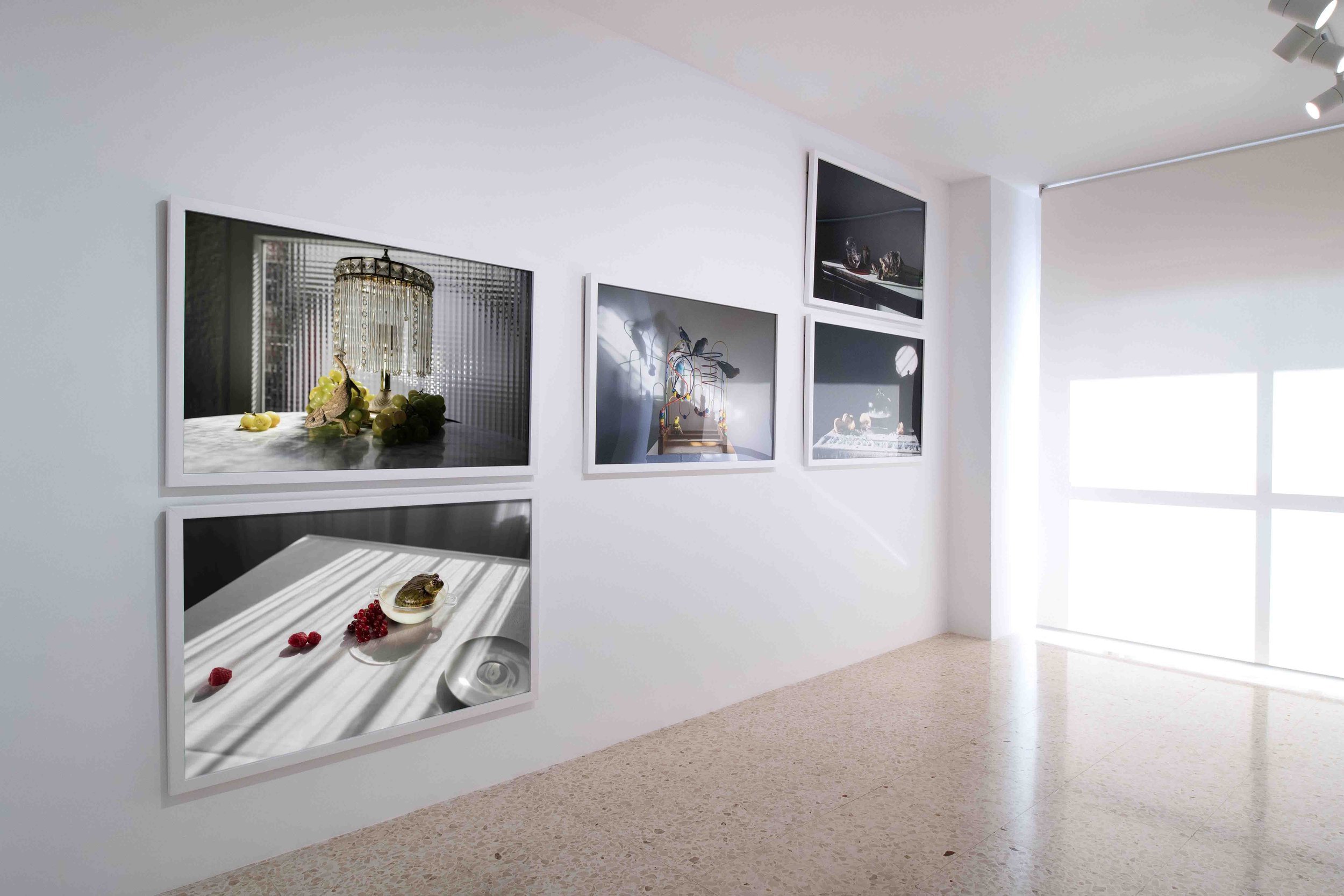 ret-low-galeria-eldevenir-lou-campos.jpg