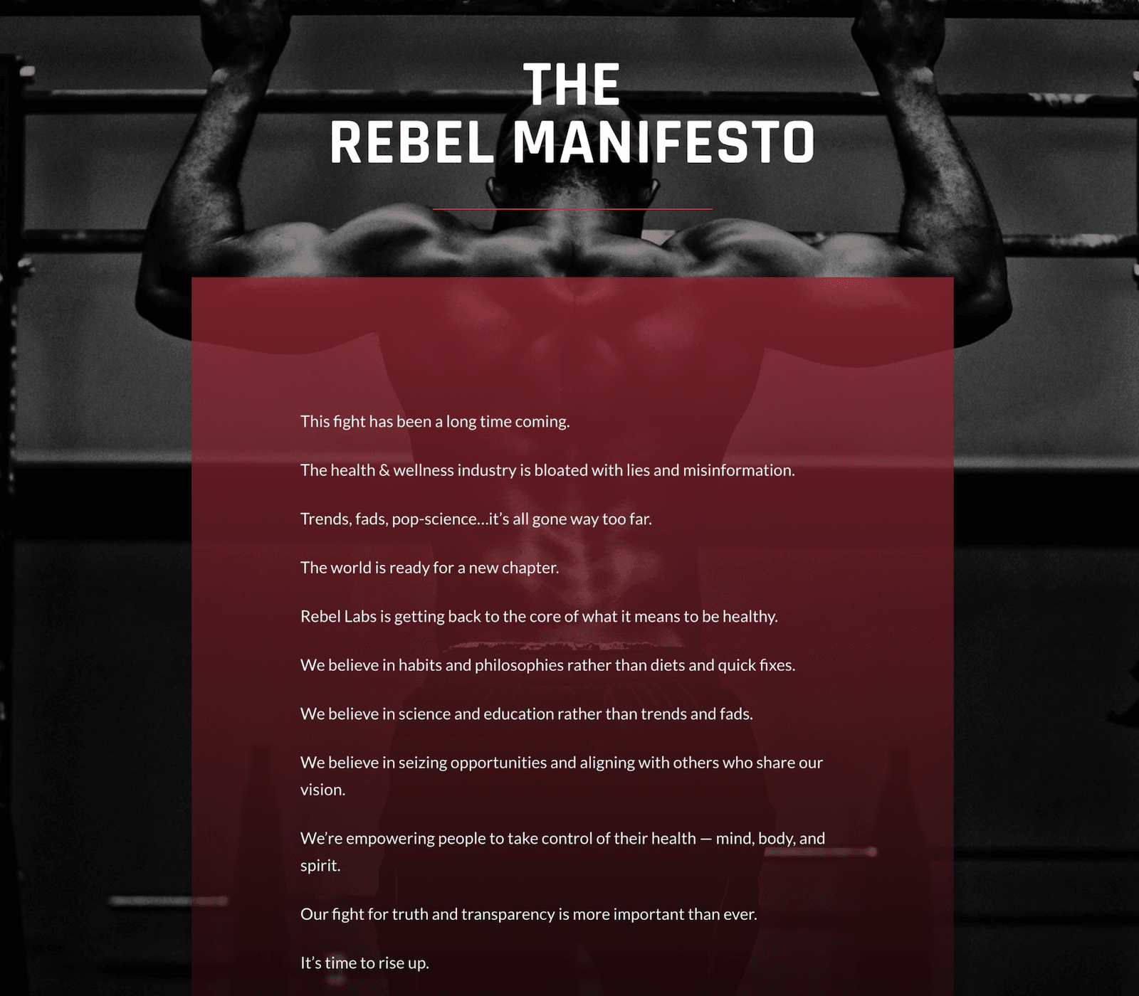 rebelmanifesto.png