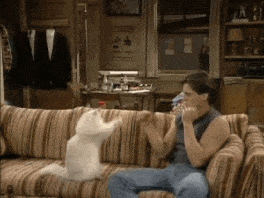 training.gif