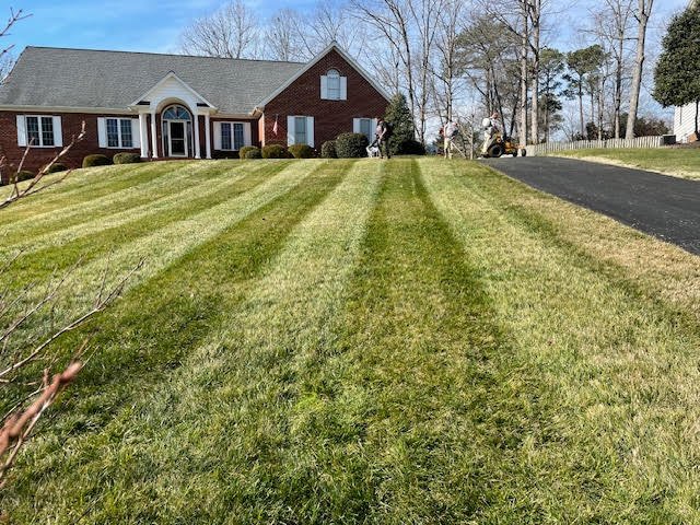 freshly mown yard.jpg
