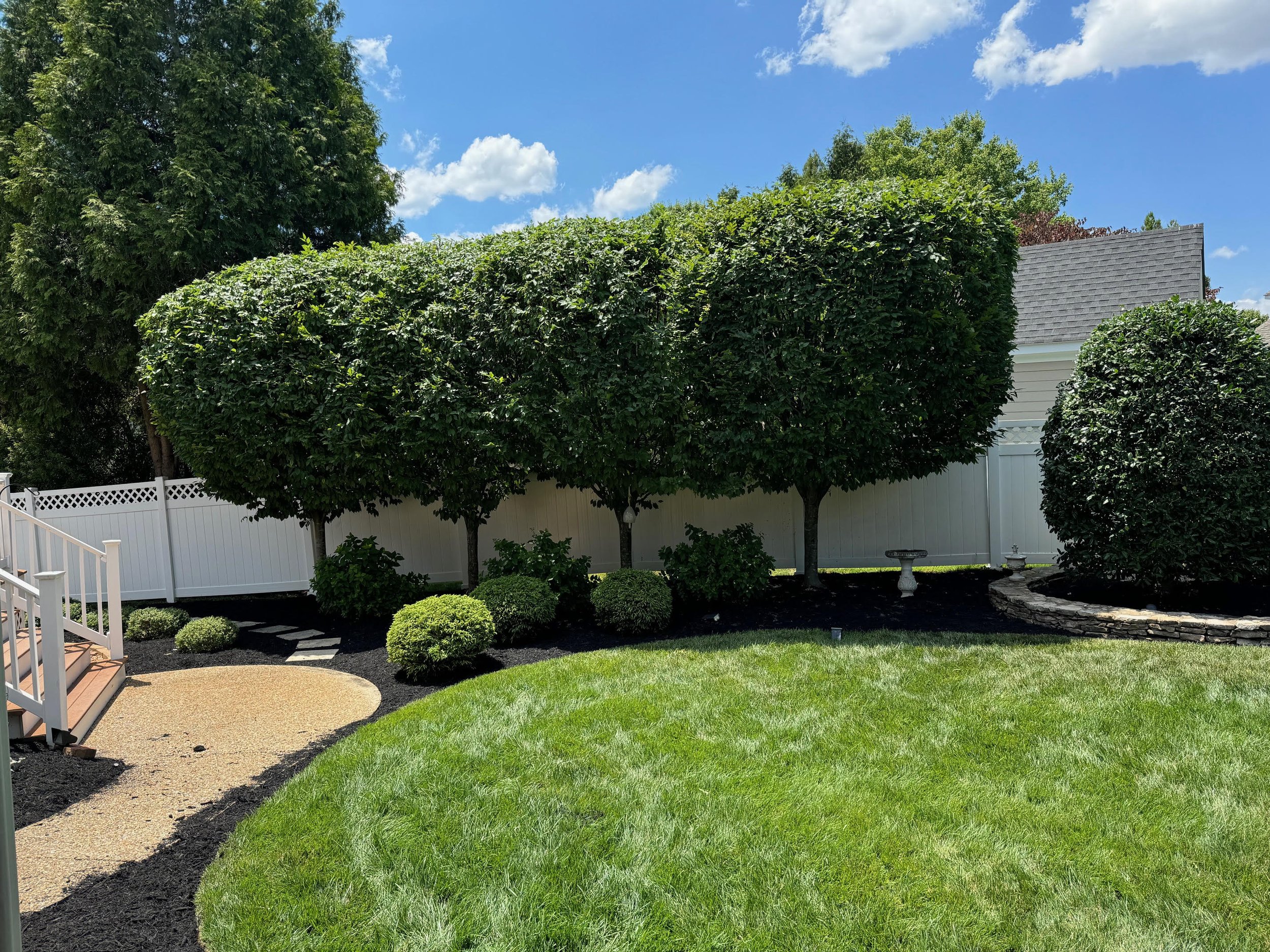 tree and shrub pruning.jpg
