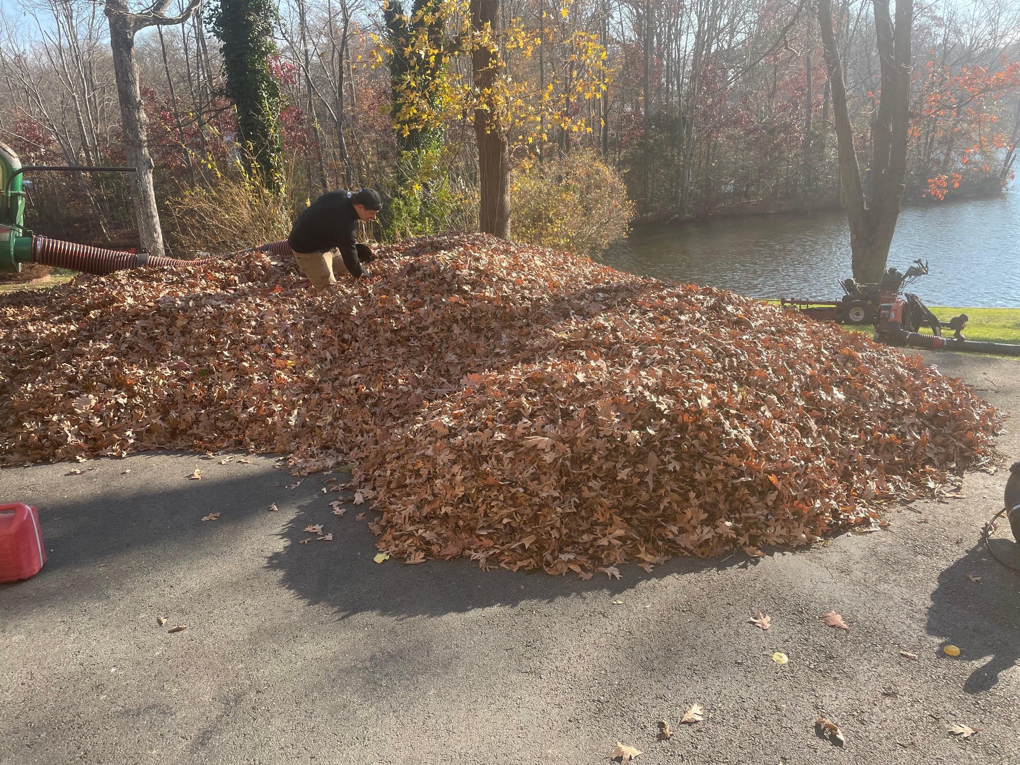 leaf removal.jpg