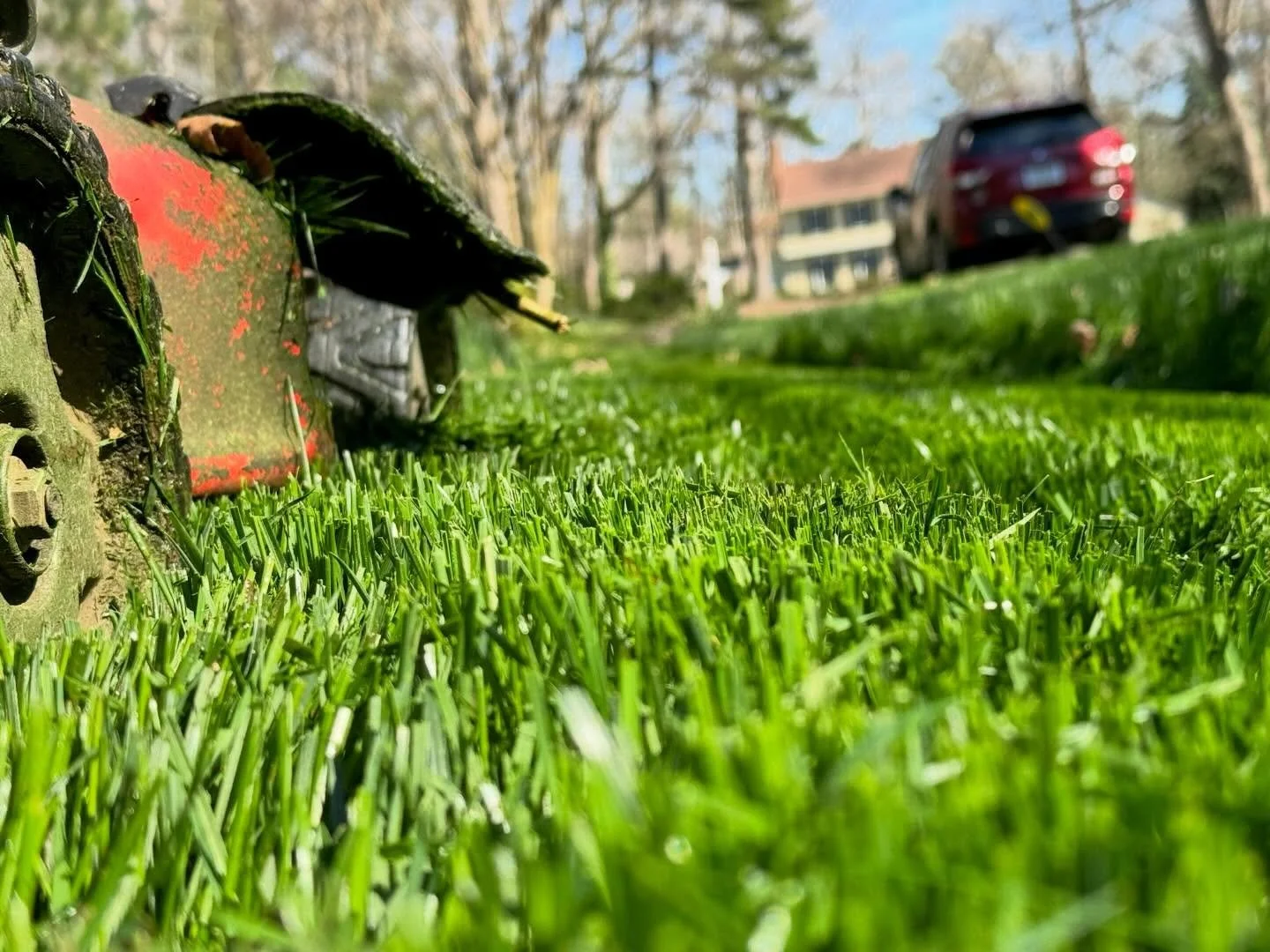 POV: you just got a fresh cut ✂️ 

#mowingseason #rva #rvalandscaping