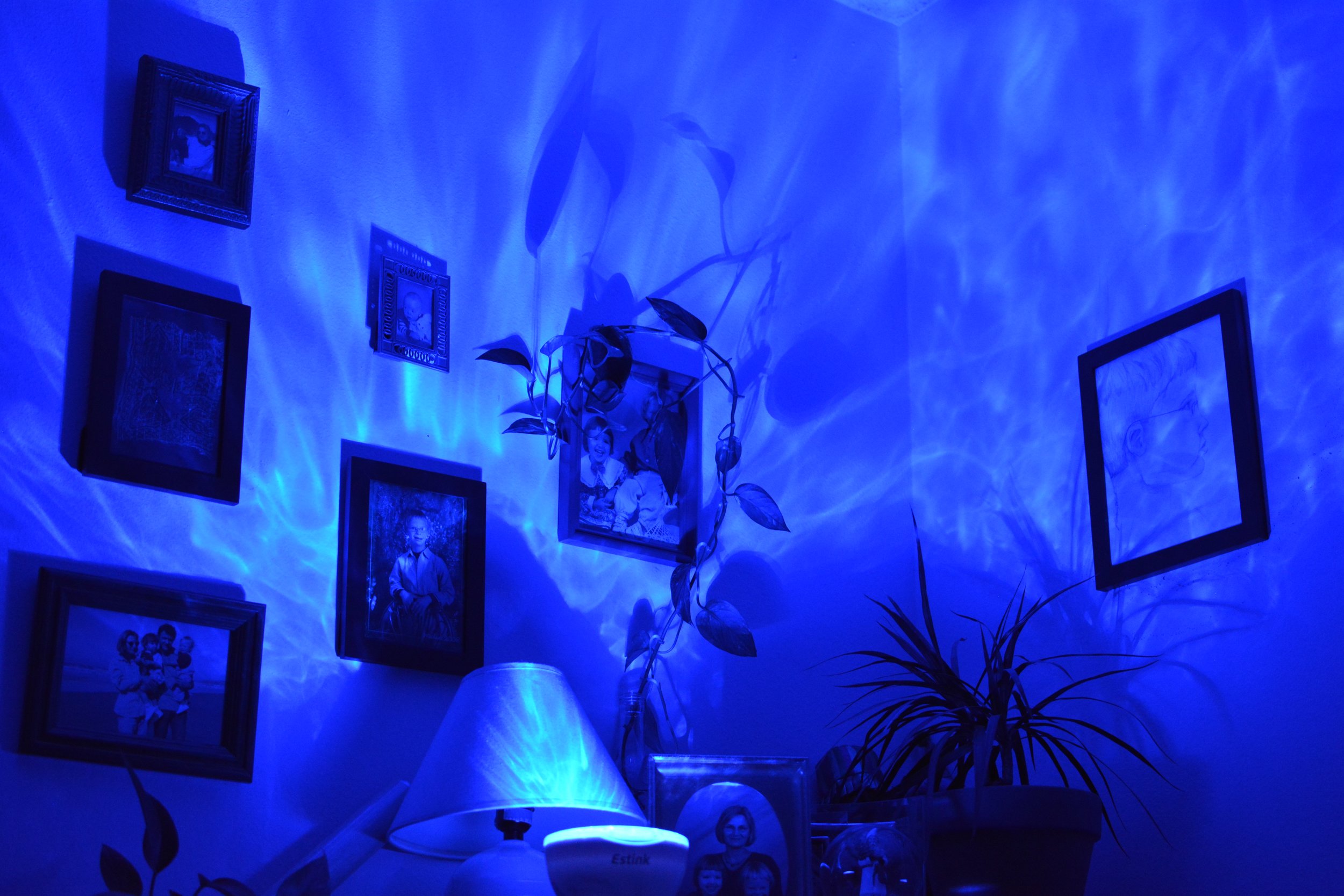 DSC_0749.jpeg
