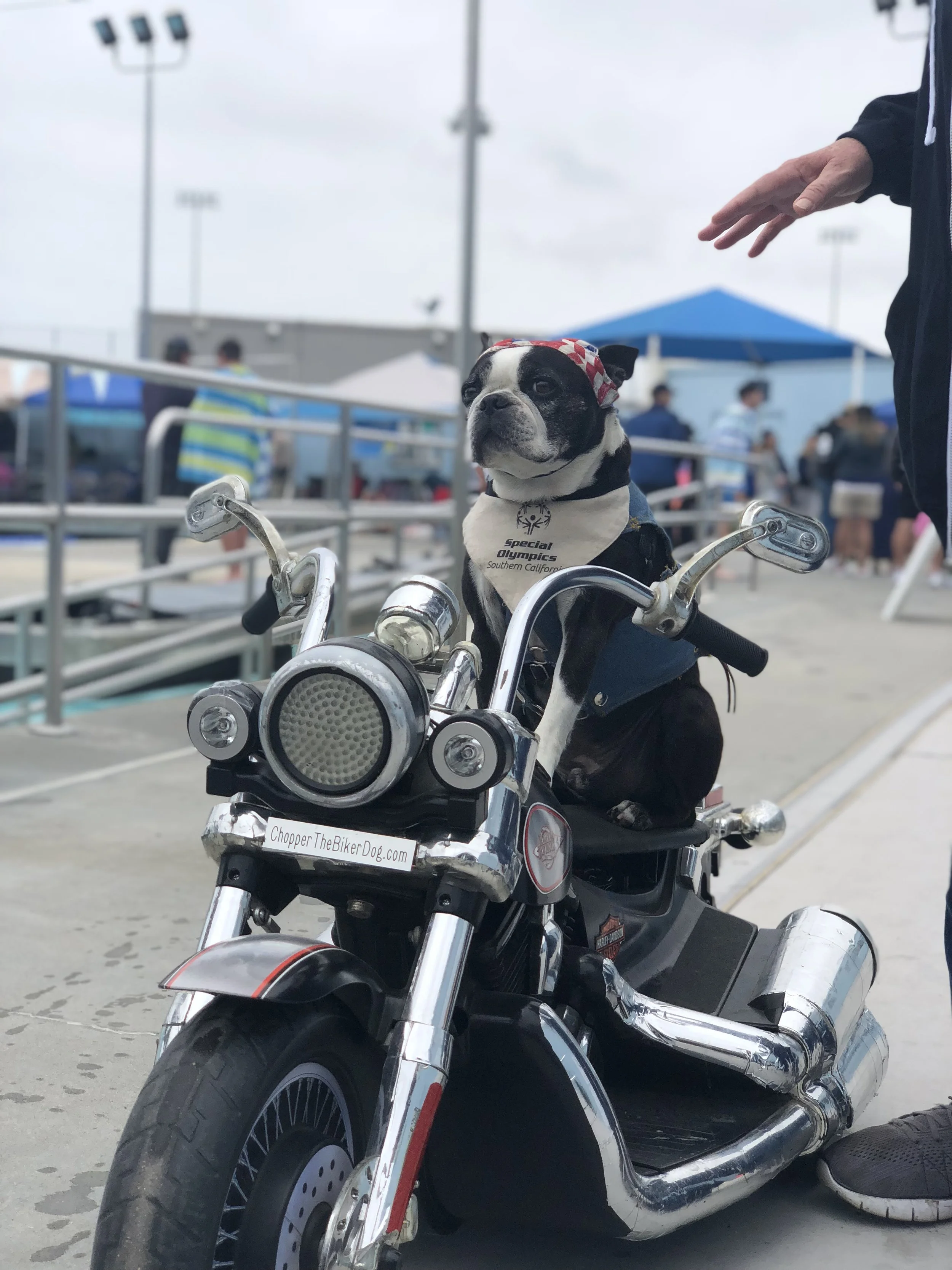 Special Olympics Championship San Diego