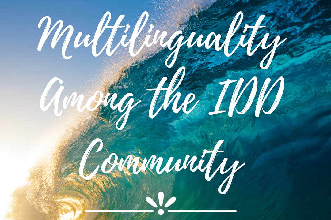 Multilinguality Among the IDD Community