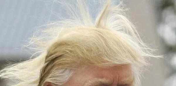 How Trump Sparked My Creativity