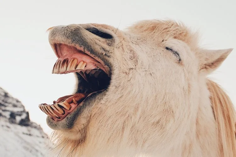 How To Be Funnier:&nbsp;The 6 Steps That Will Work For You