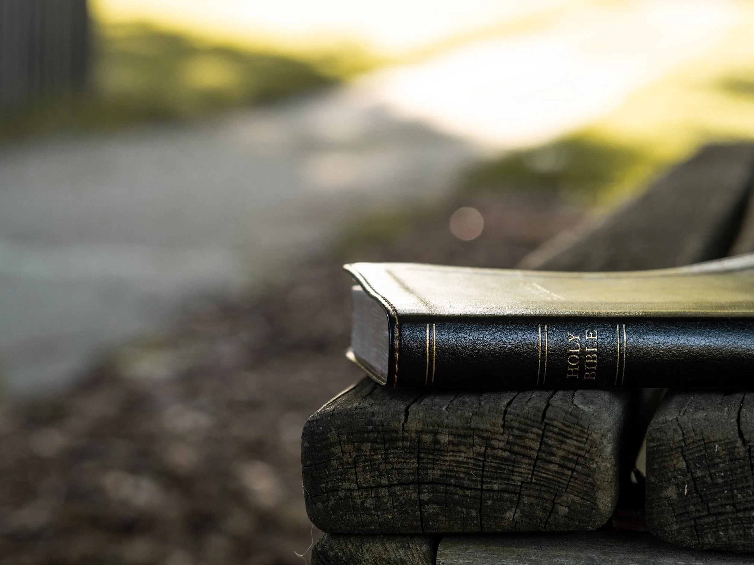 Photo by&nbsp;Aaron Burden&nbsp;on&nbsp;Unsplash
