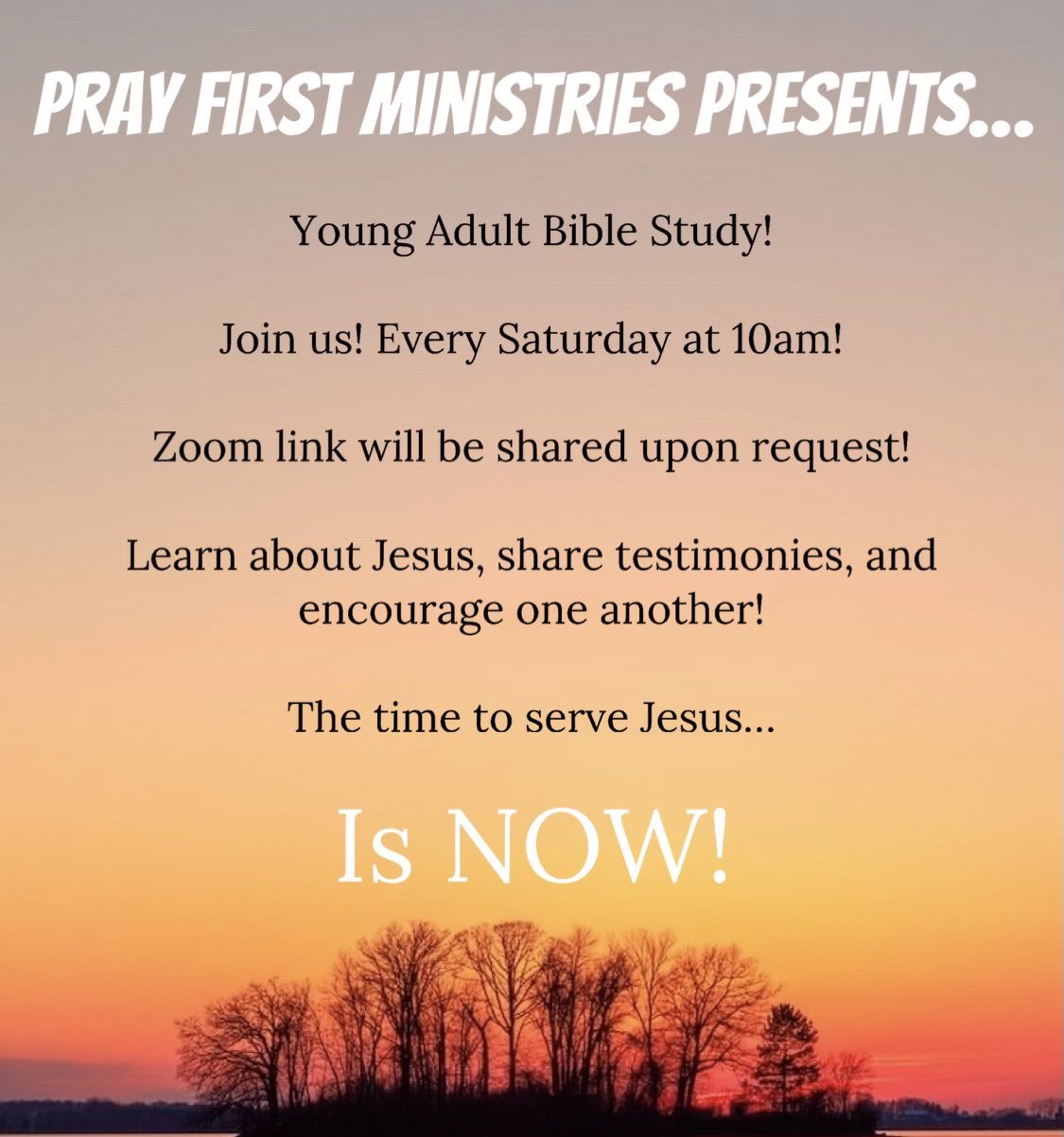 Young Adult Bible Study