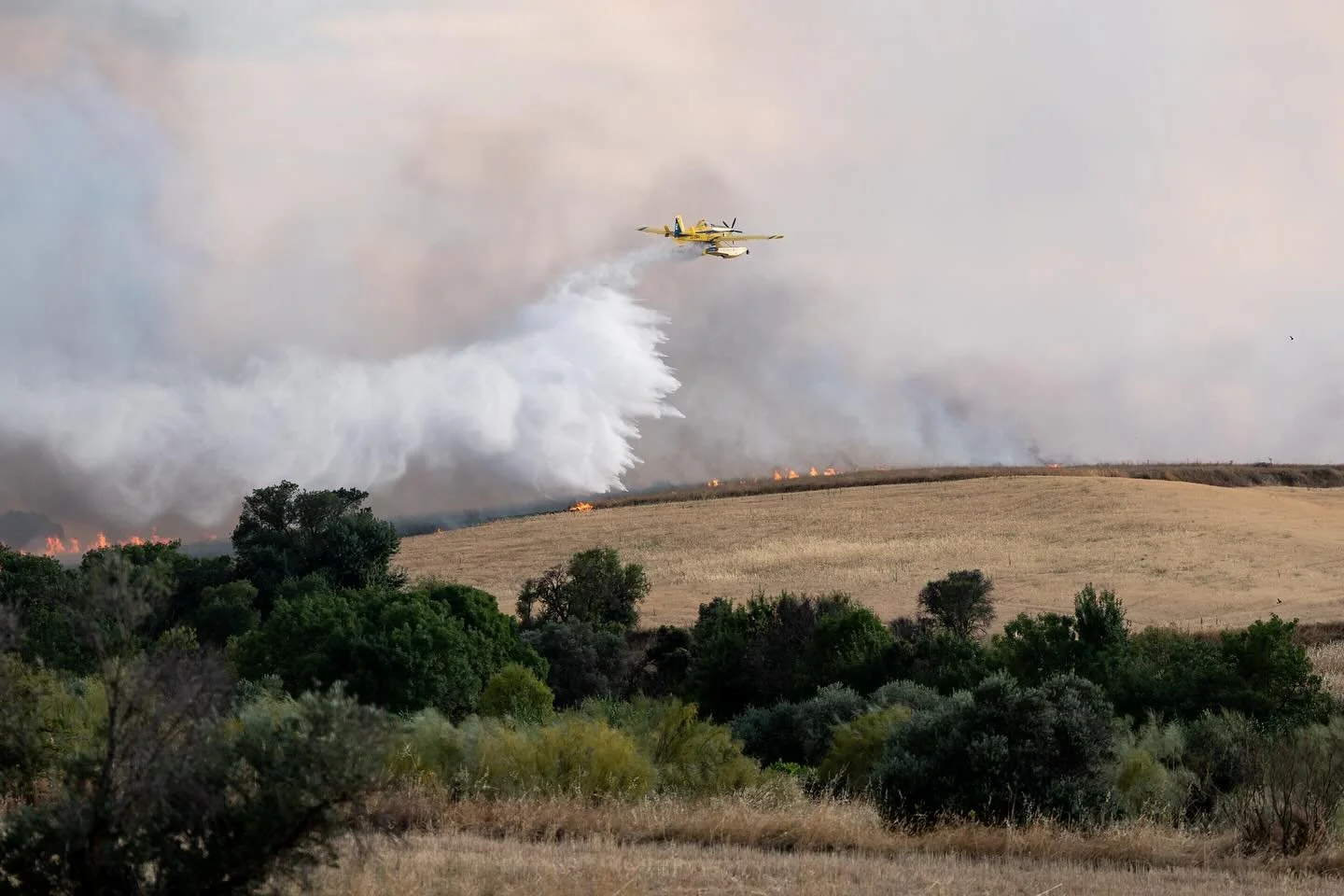 17 de julio de 2025. Incendio forestal en M&eacute;ntrida.