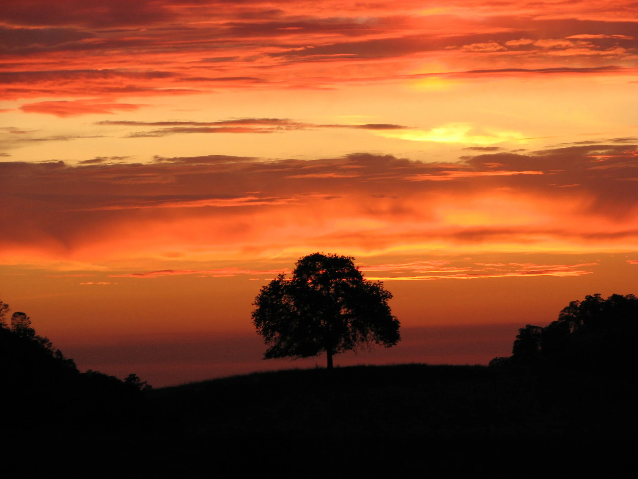 Amber Skies.JPG