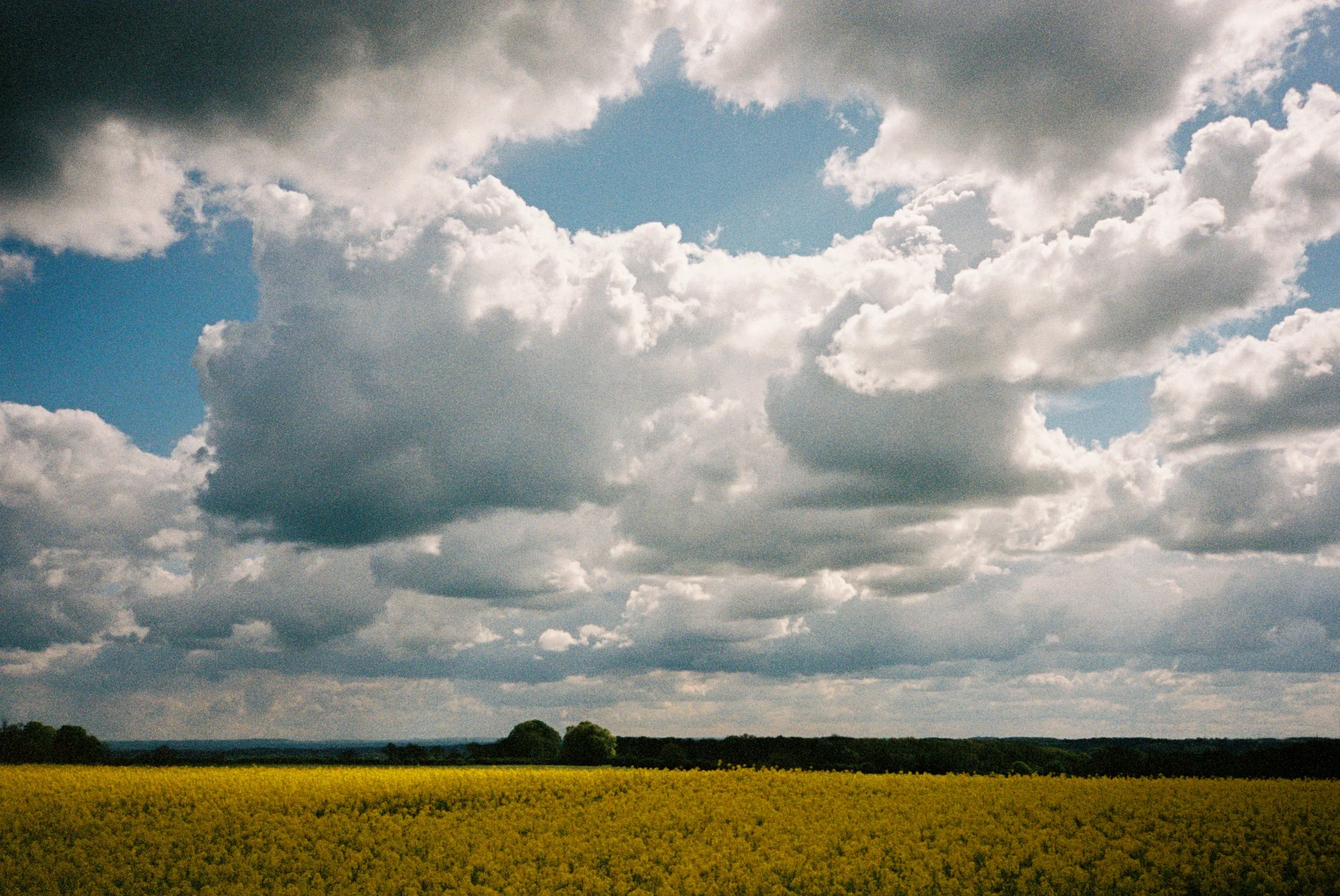 R1-08281-0032.jpg