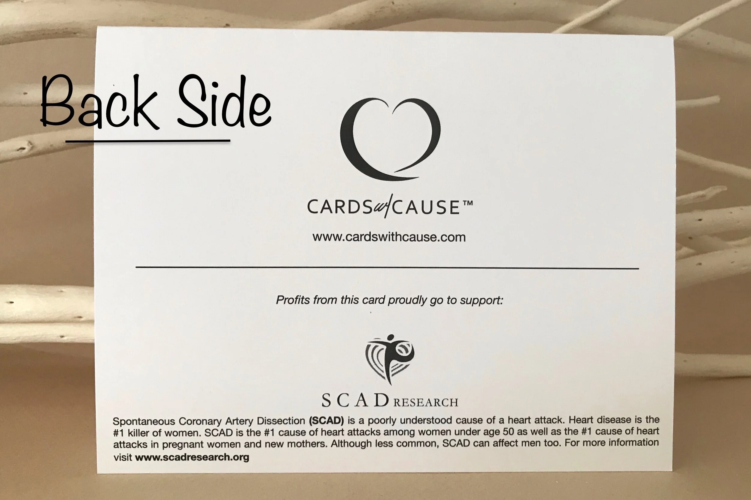 CB698EAB-BB9B-4628-BDDF-2720D8F22CAE 2.jpeg