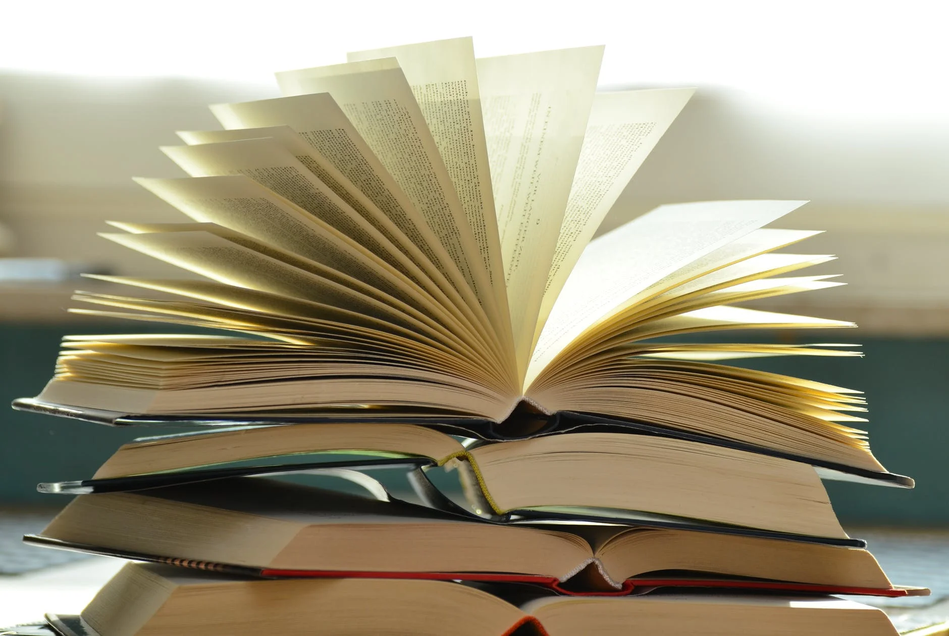 books-book-pages-read-literature-159866 (1).jpeg