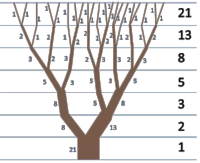 main-qimg-447615140f46afb7837980d2cf8690b9.png