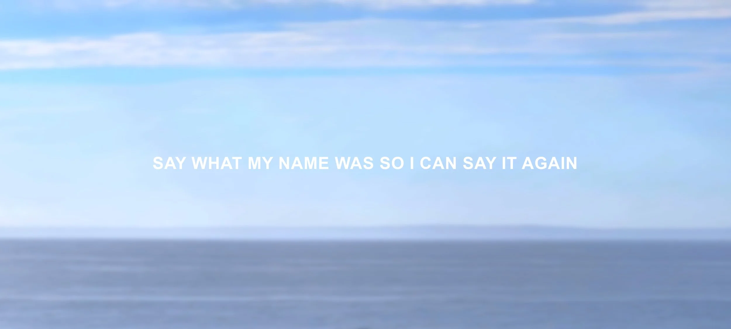  oil on canvas  artist’s text and photograph  10 × 5 ft  2025     