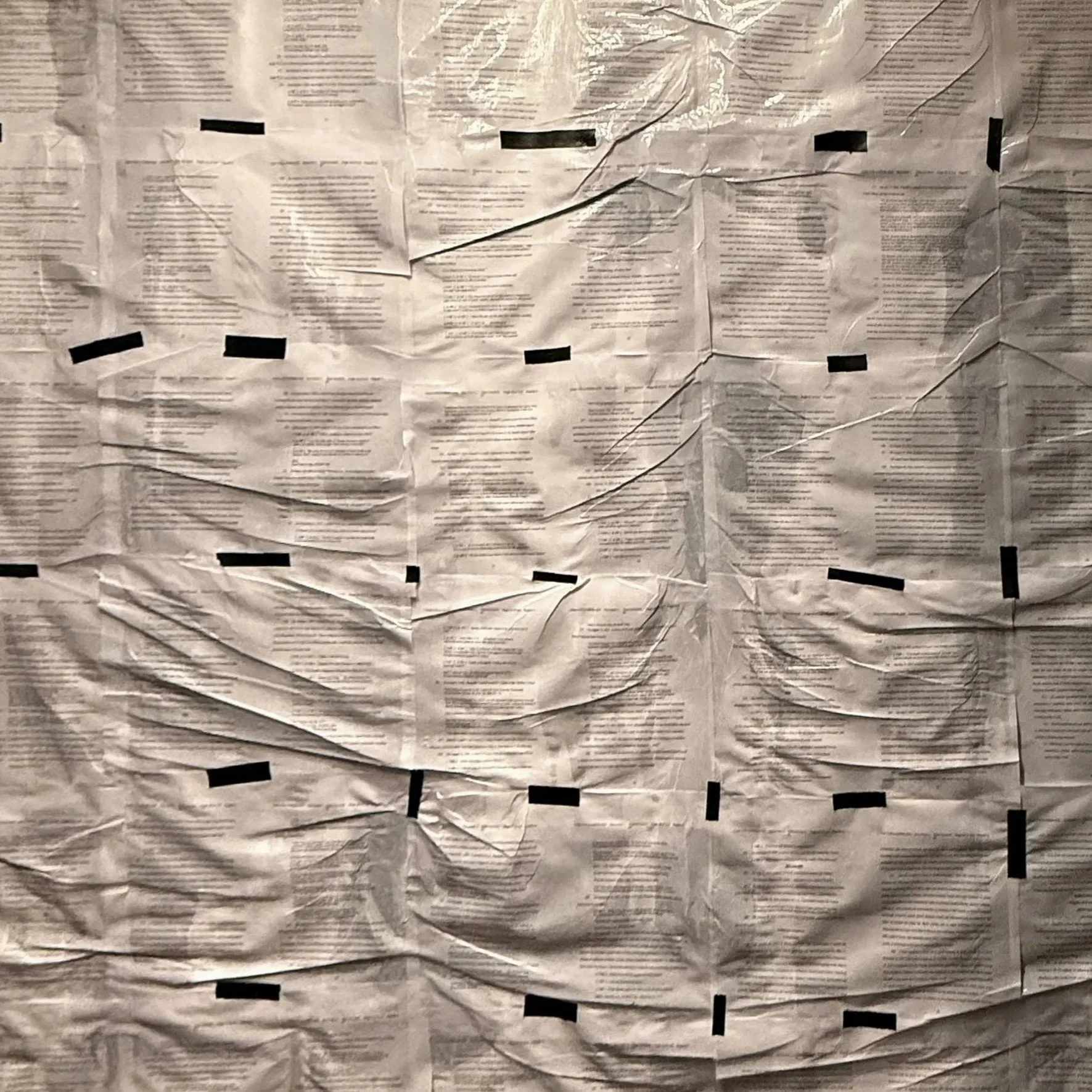  detail, gallery installation view  artist’s text  artist-placed public document art  pages of filed legal document, varnish  third solo show  2025 