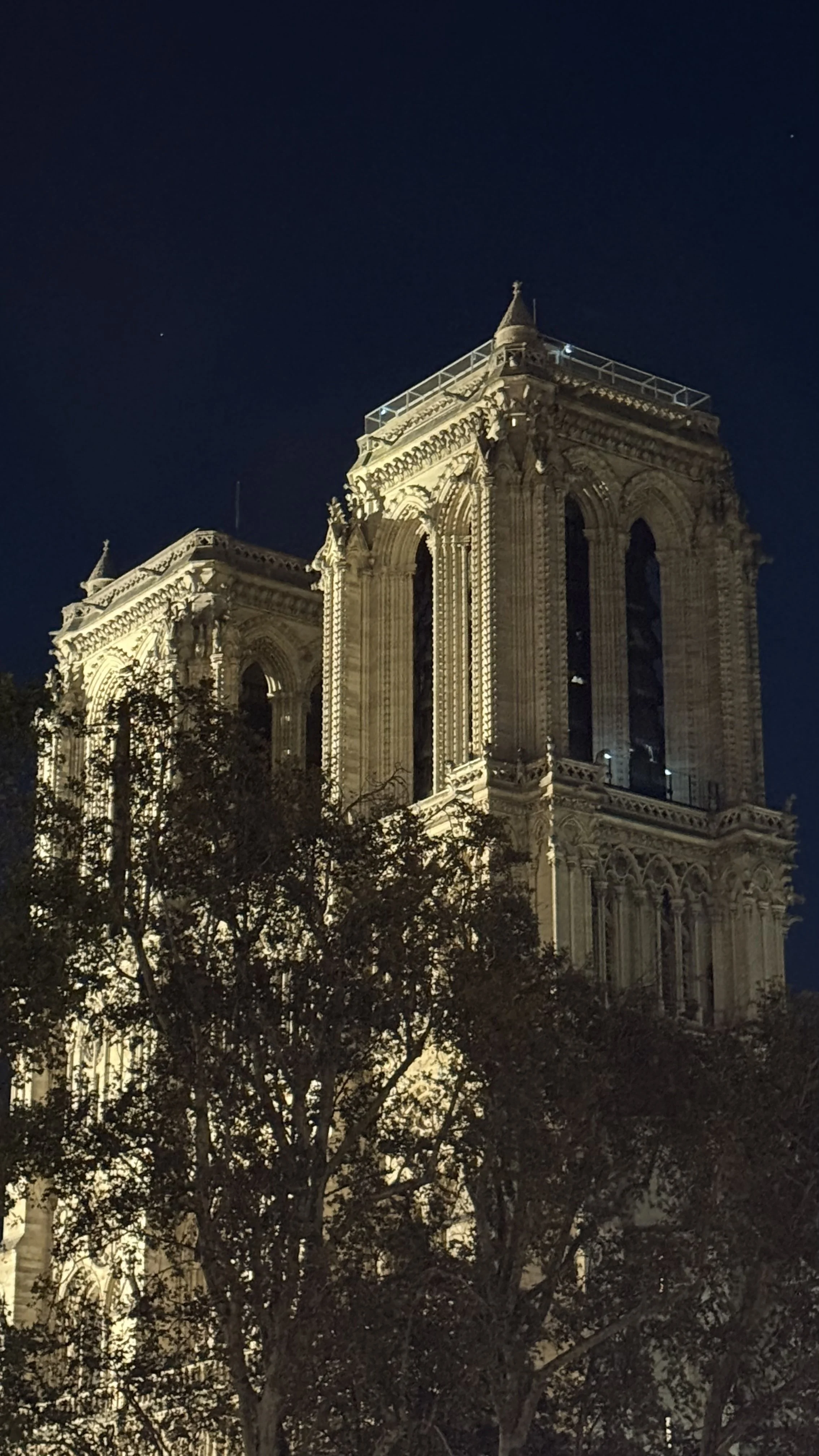  notre dame, midnight, on my way home     