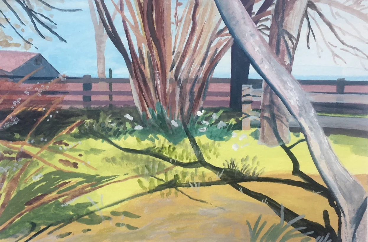 treeeeees.jpg