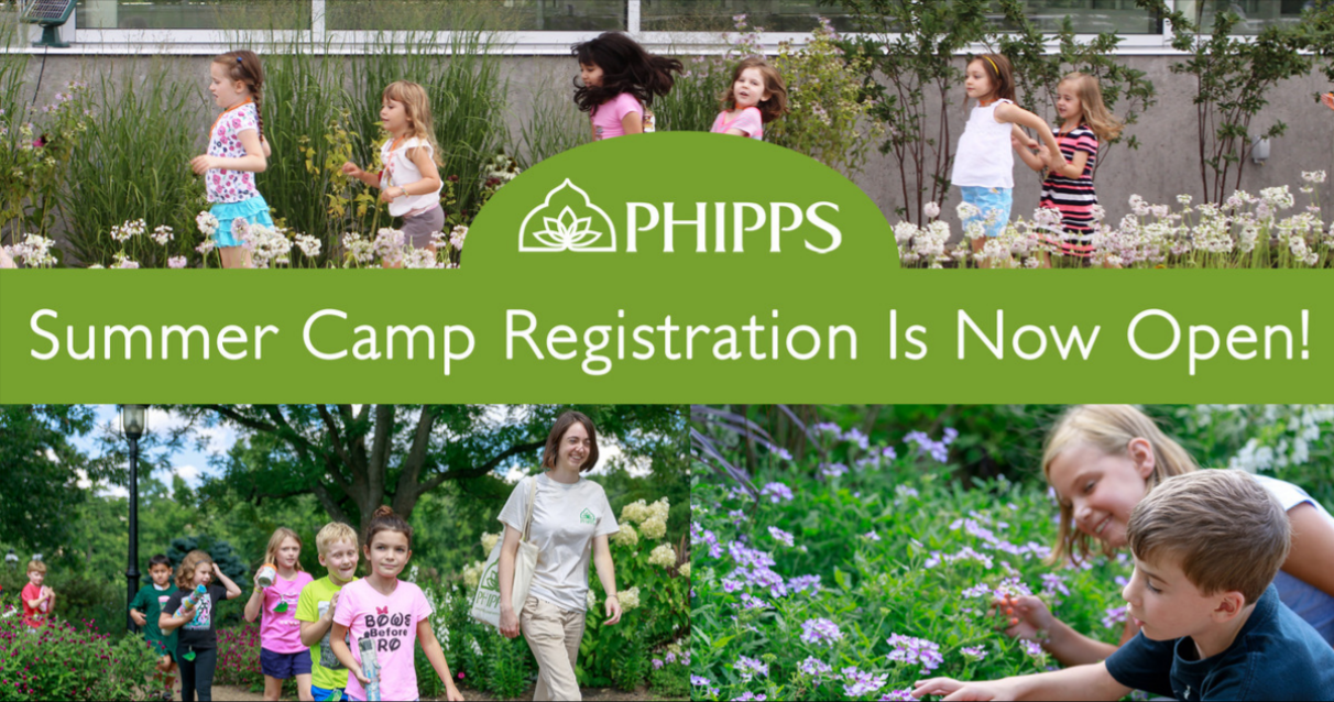 registration is open!.PNG