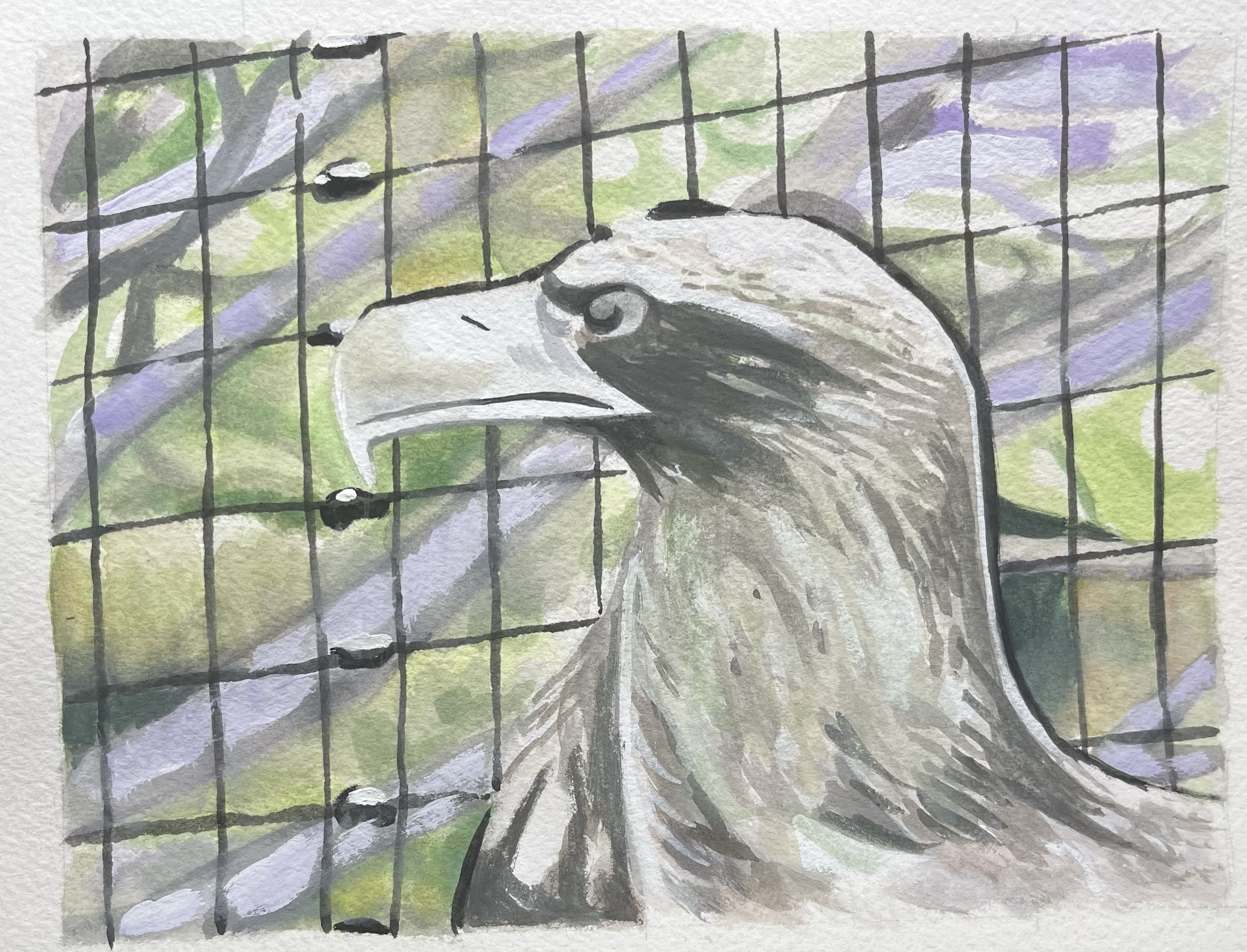 eagle.png