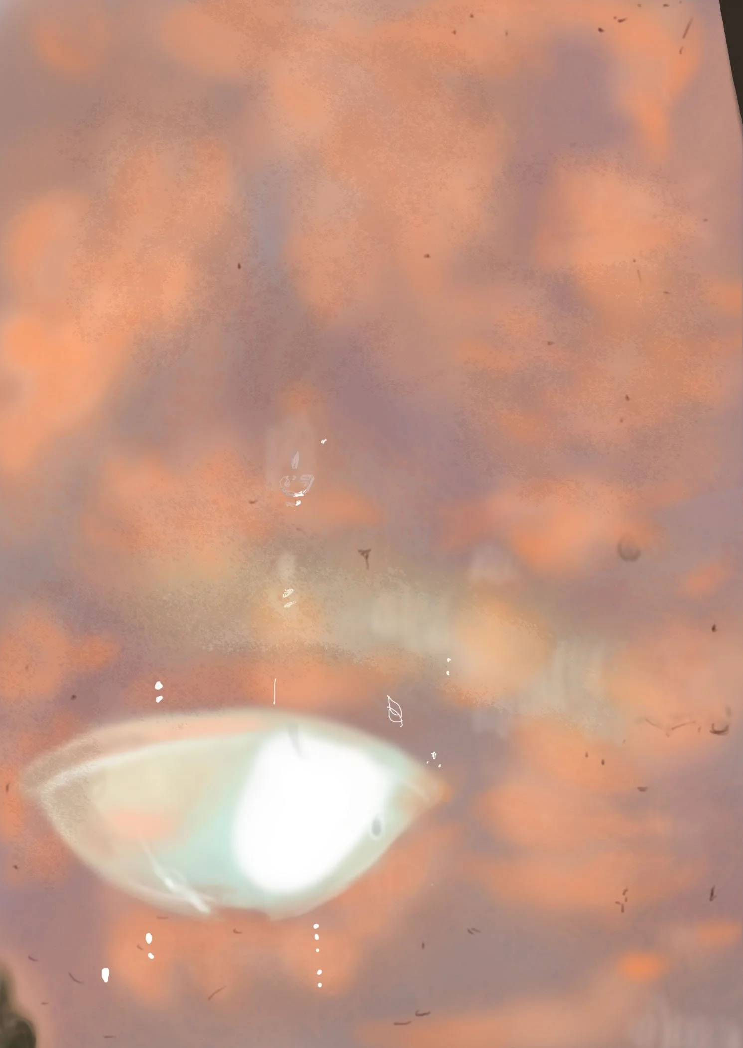 Untitled (5).jpeg