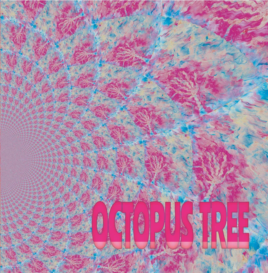 octo front.jpg