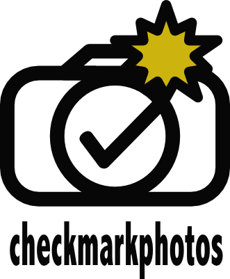checkmark logo half yellow.png