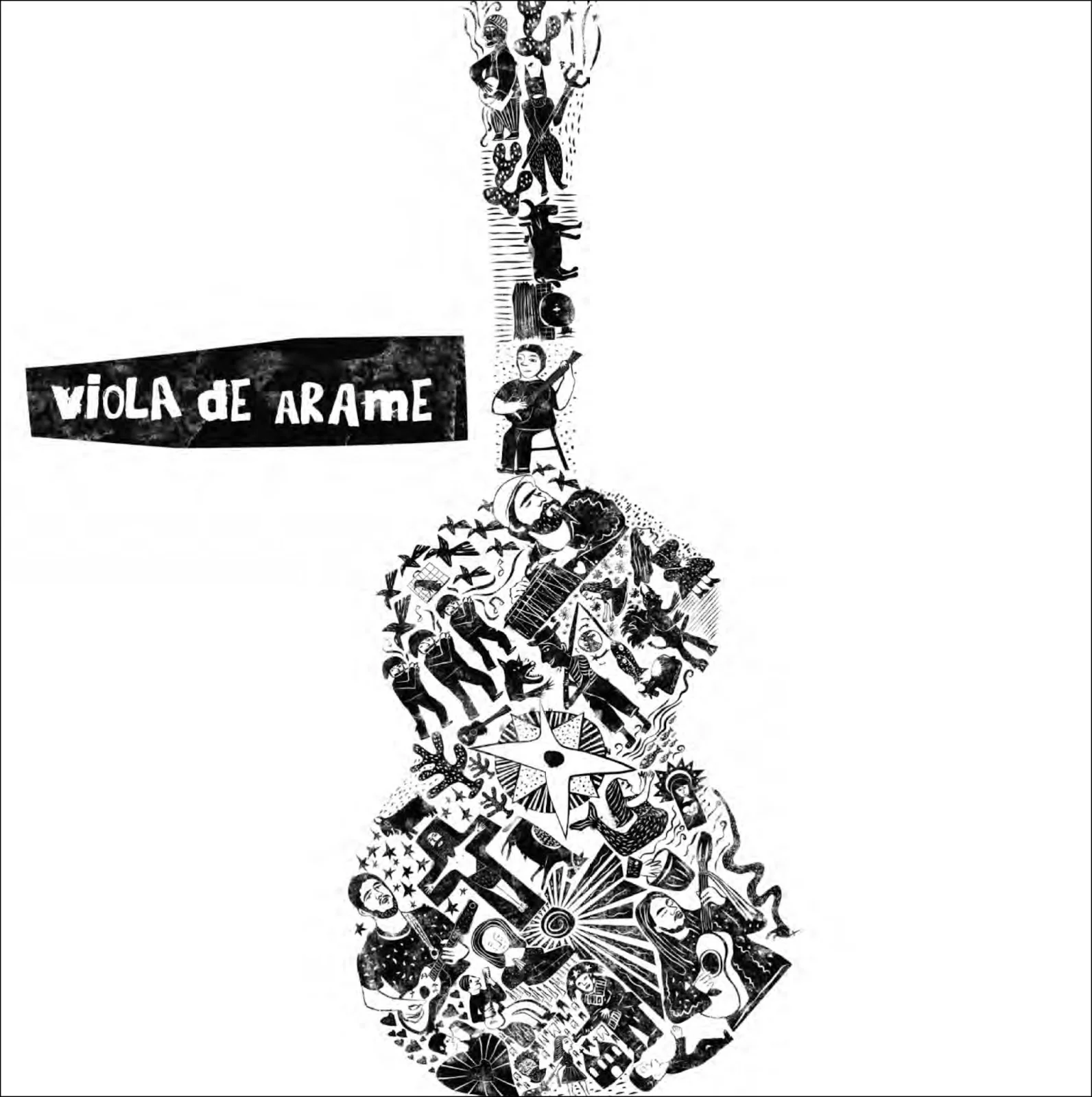 16 2011 Viola de Arame.jpg