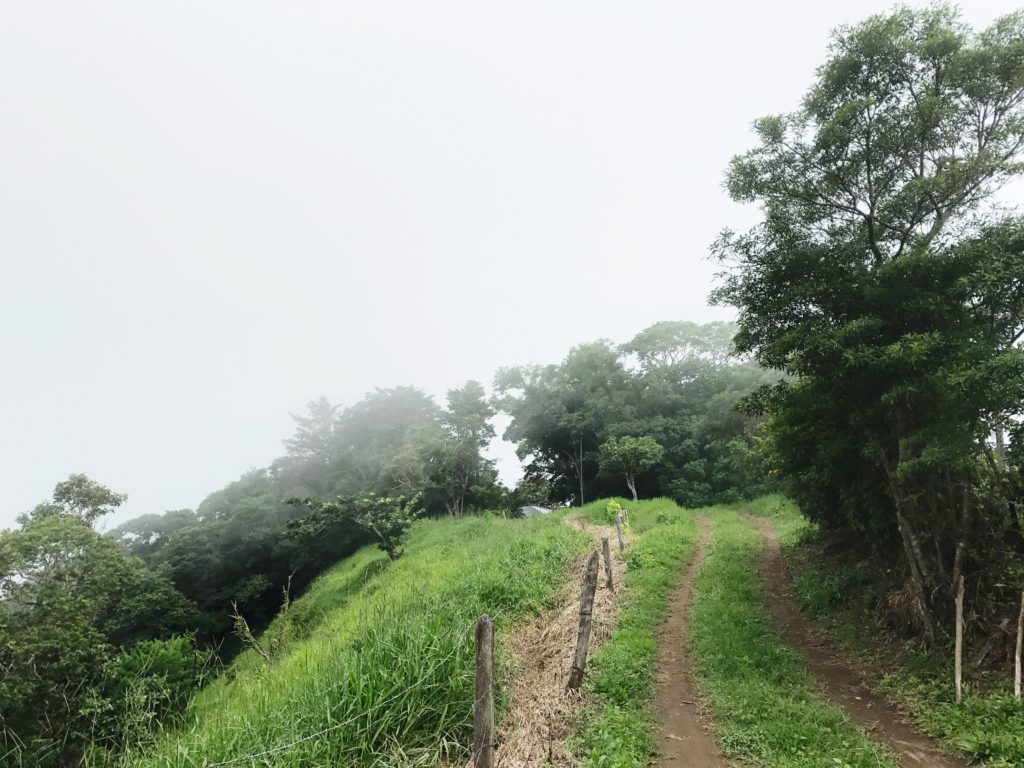 Entering the Cloud Forest