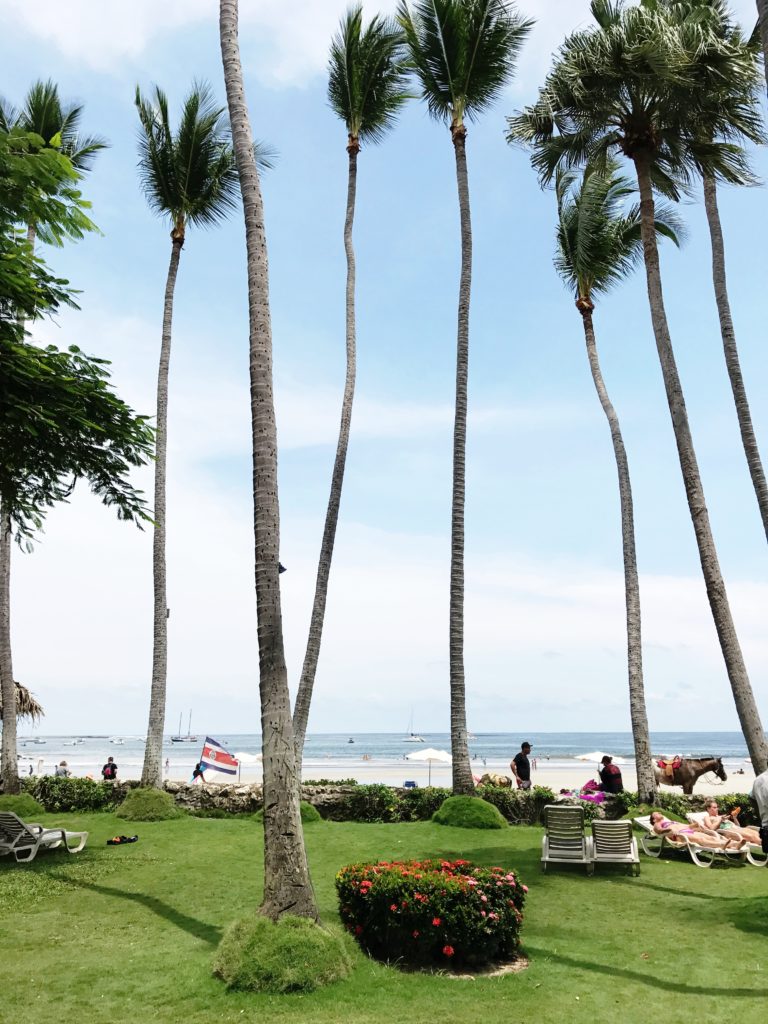 Beachside Pool View at Hotel Tamarindo Diria