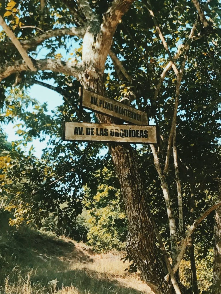 If you come to this fork in the road, you're heading in the right direction. Turn right!