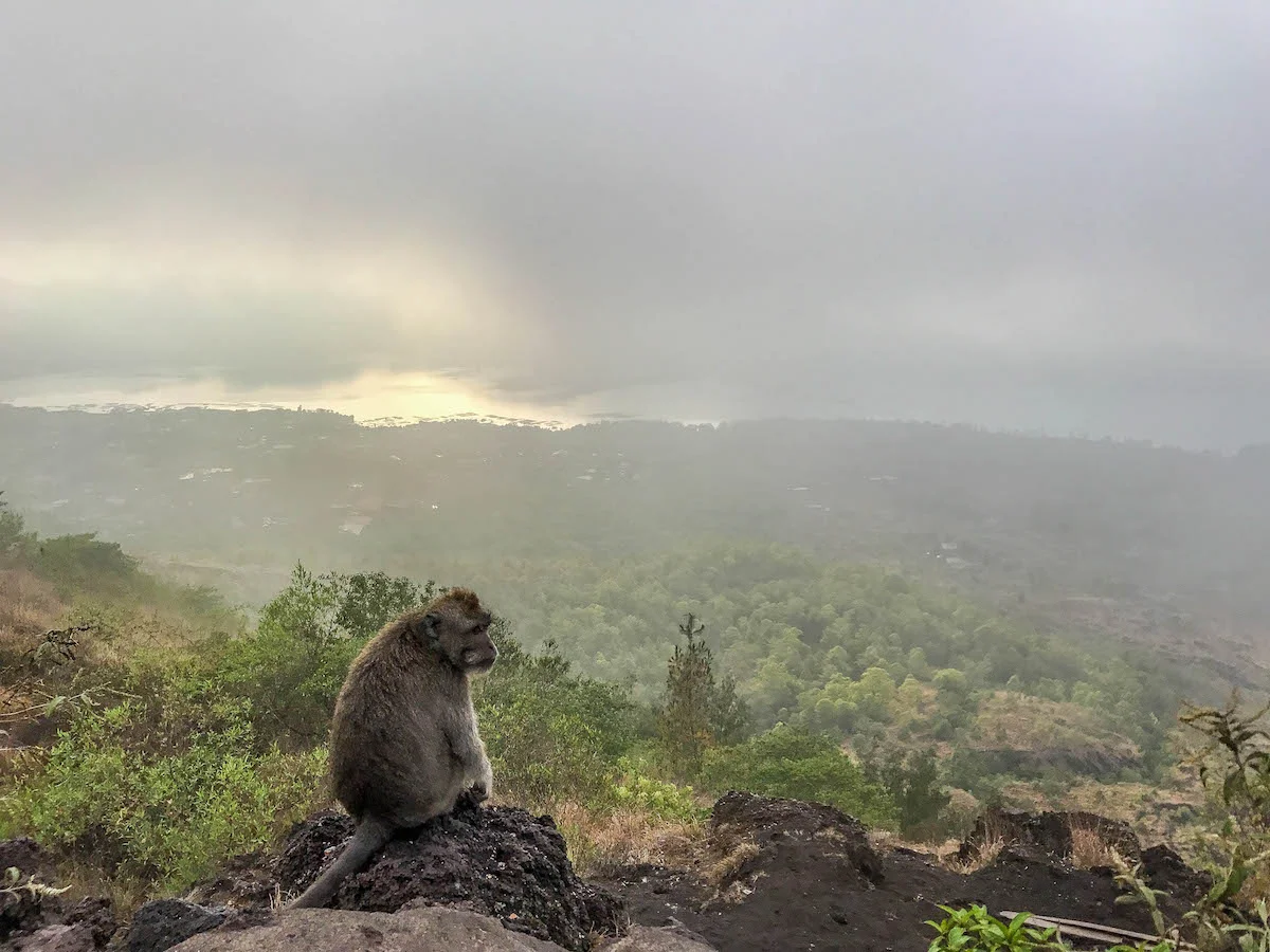 mount-batur-sunrise-trekking (10 of 14).jpg