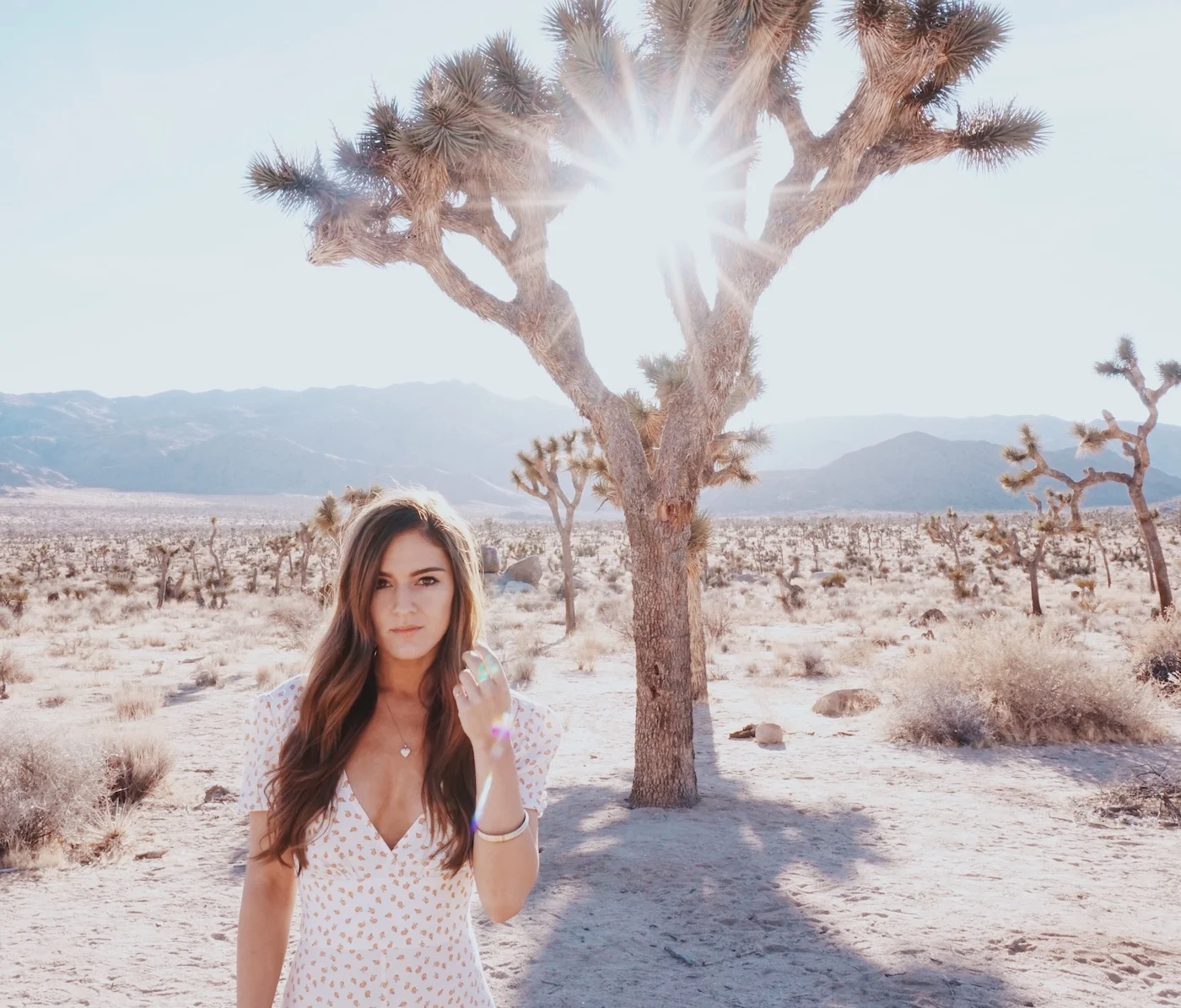 best-destinations-2018-joshua-tree-california-america-2.jpg