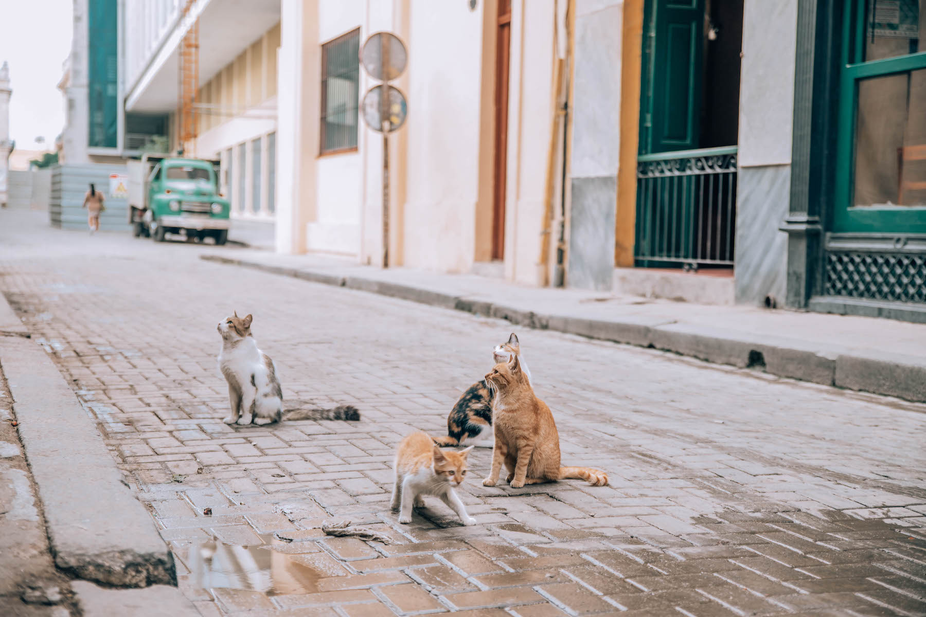 misconceptions-about-cuba-travel-4.jpeg