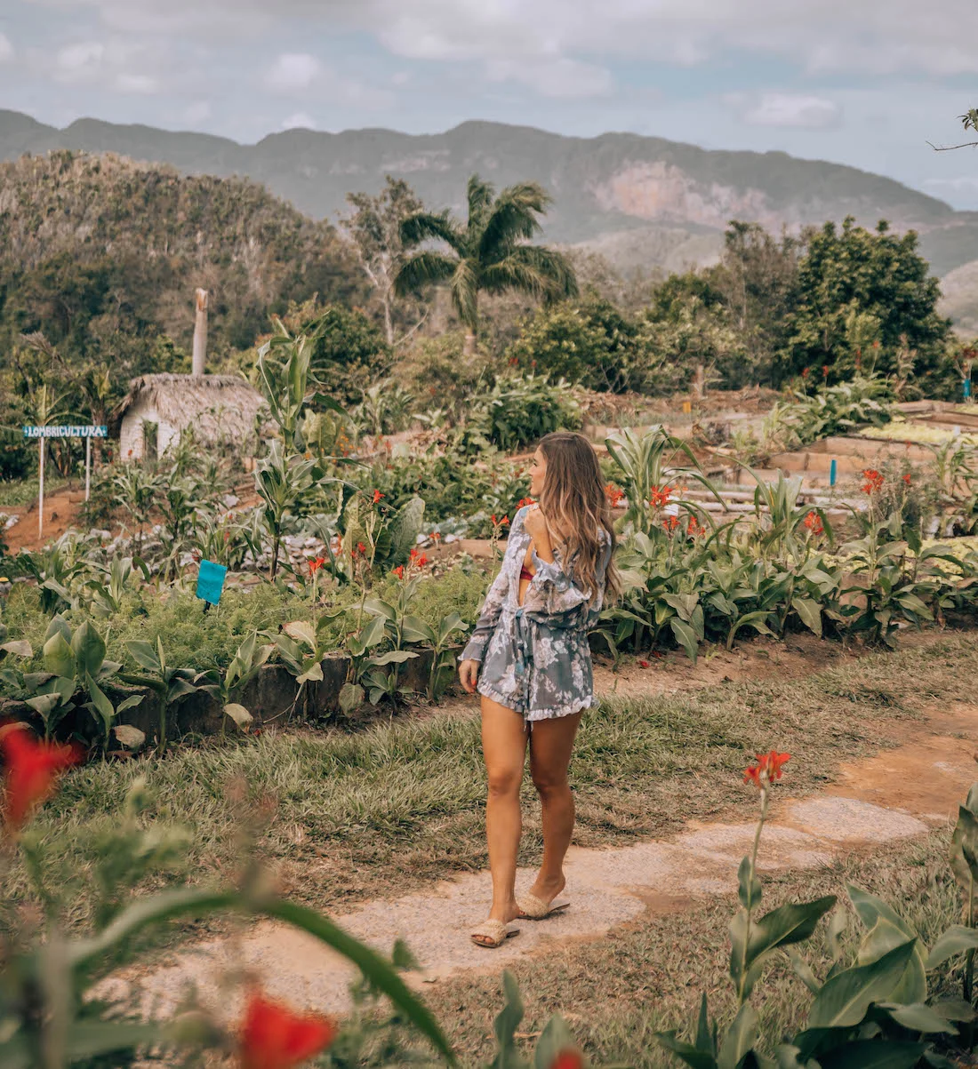 Be sure to give yourself time after lunch to explore the farm at Finca Agroecologica el Paraiso and have a drink in the view tower!