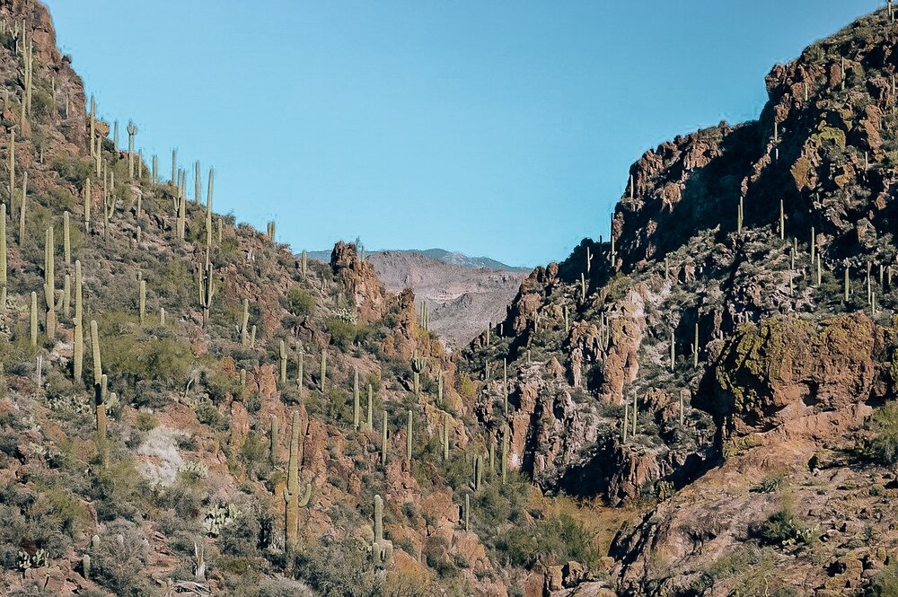 Complete Arizona and California Desert Road Trip Guide — The Wayfaress