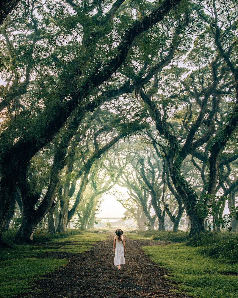 9 Mindset Traps to Avoid During the Coronavirus Pandemic