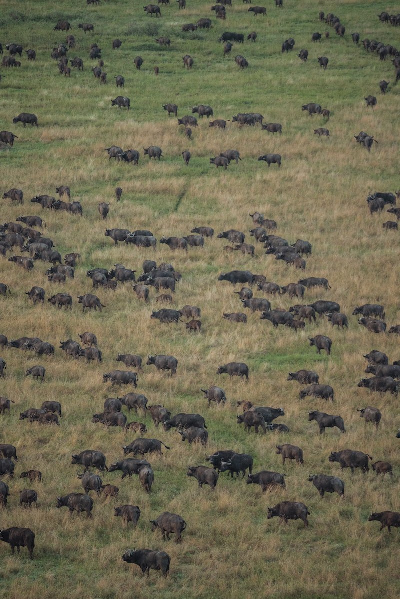 tanzania-faves-90.jpg