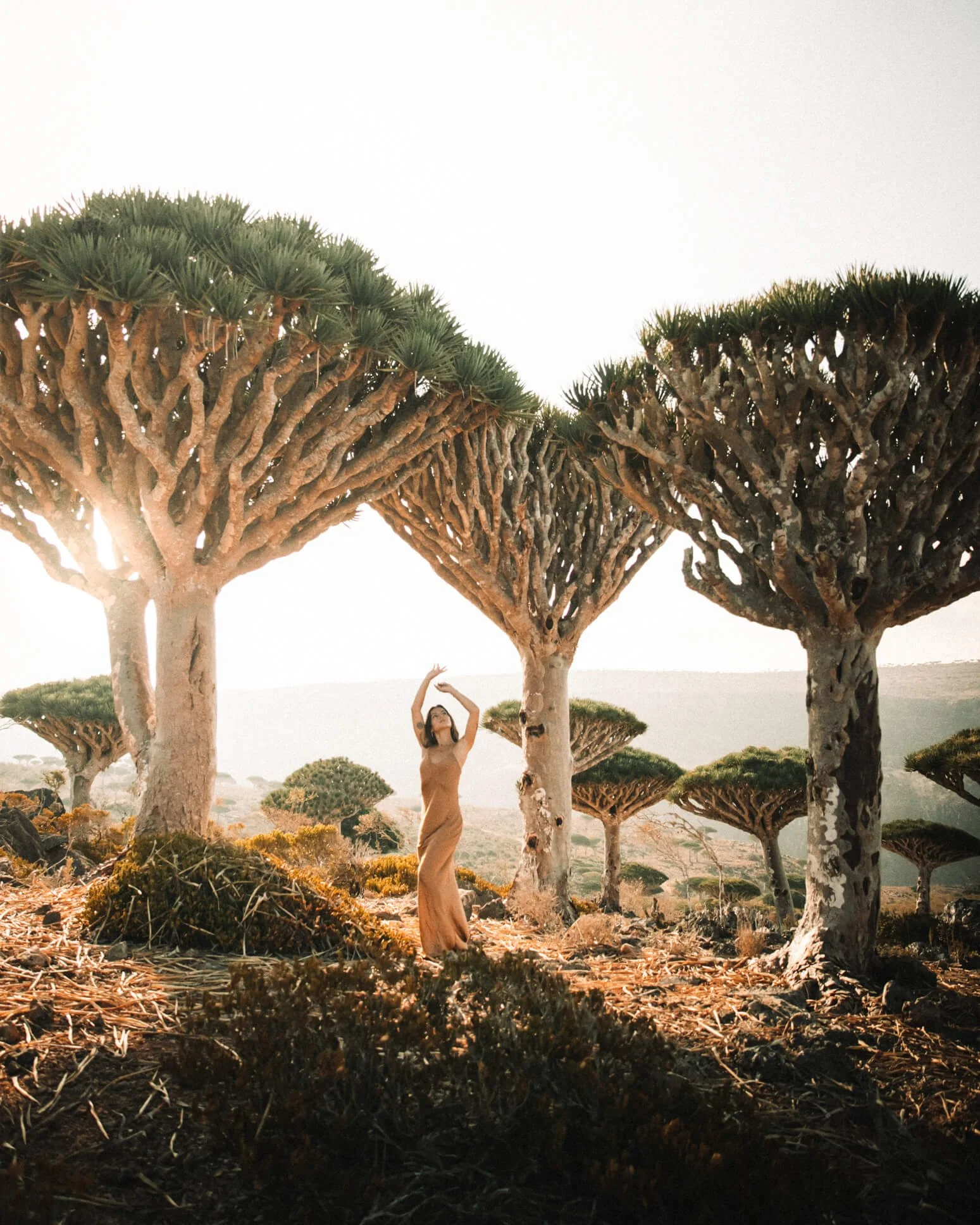 by Caragh Fraser