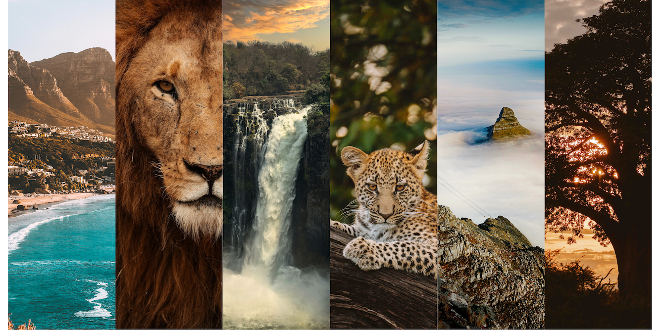 Tanzania Great Migration Group Adventure 2026 (2).png