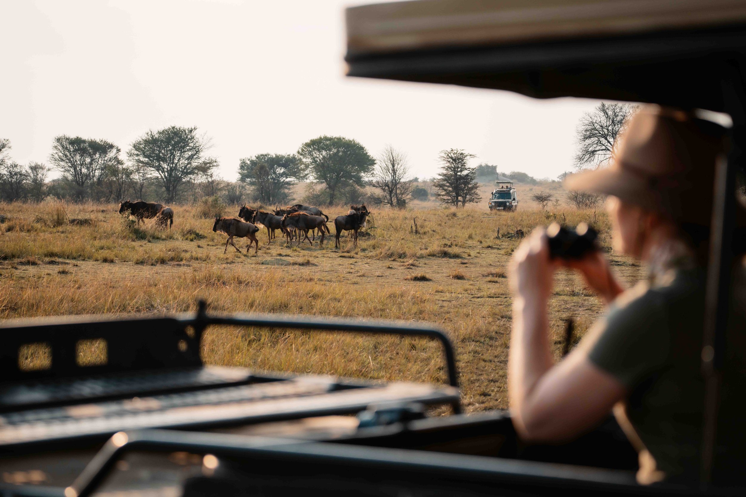 wayfaress-group trip-3.jpg