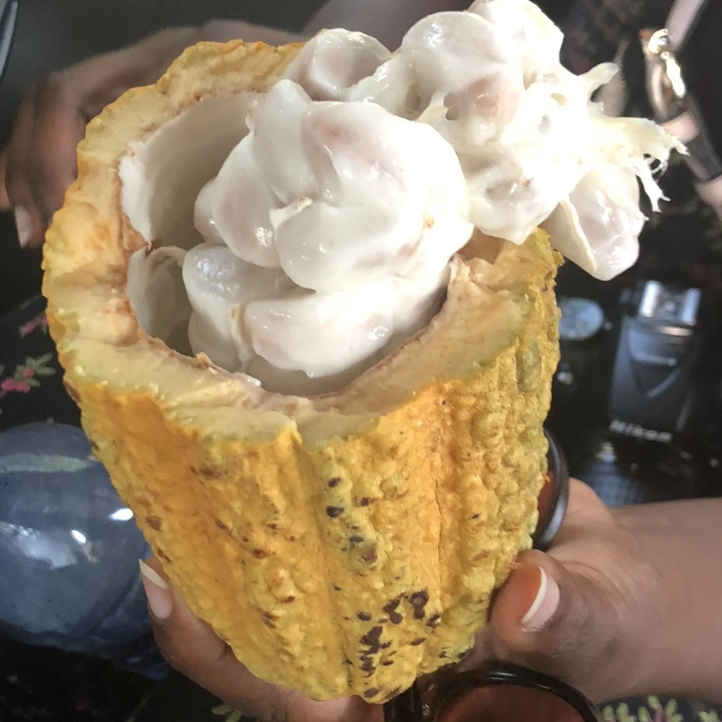 TRAVEL BLOG THURSDAY - KOFORIDUA || Part 2