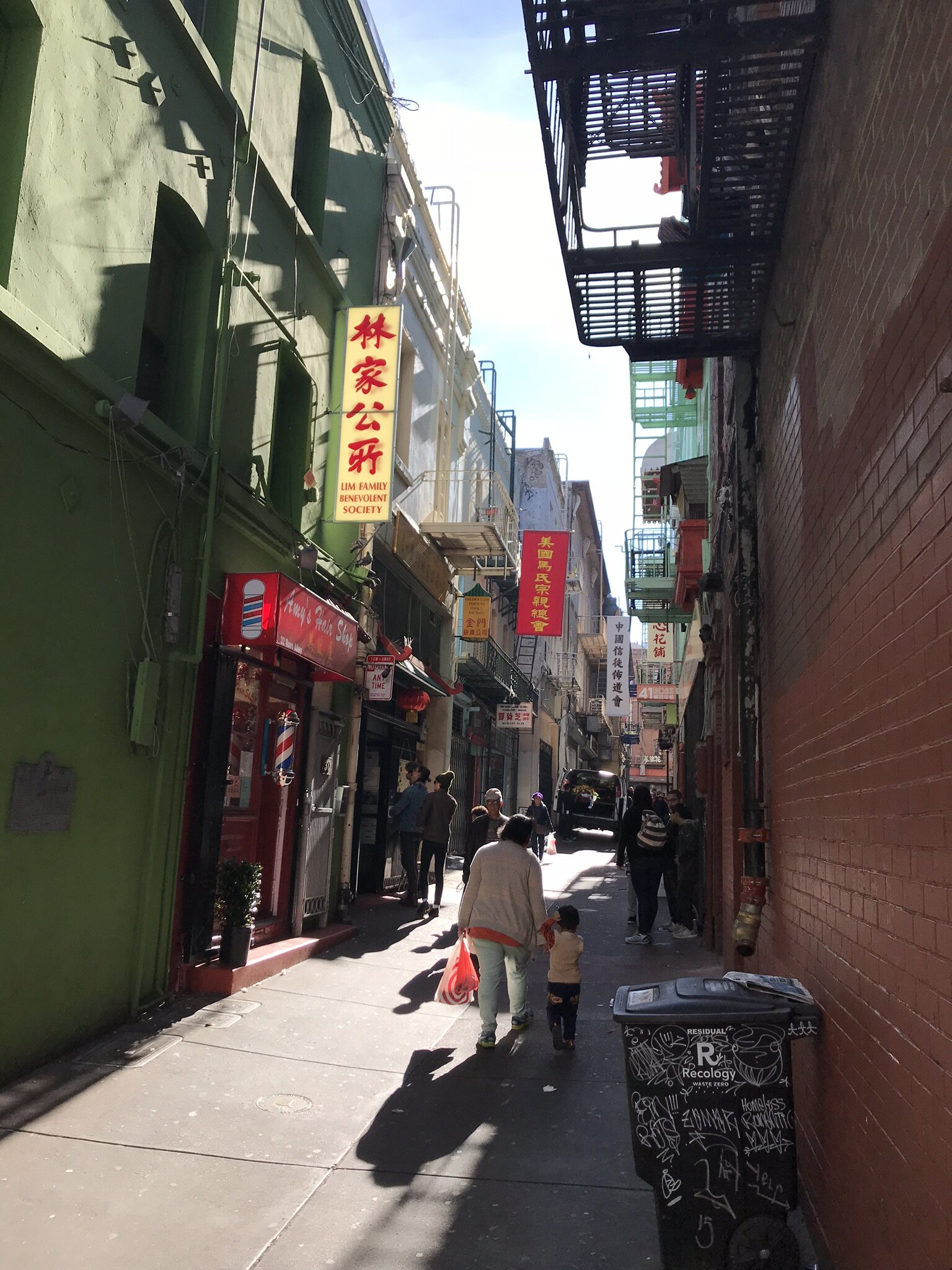 IMG_1542.JPEG